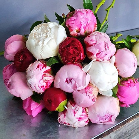 Photo de Marguerite TERRET